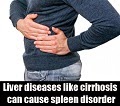 Homeopathic medicine for Treatment of Spleen diseases