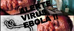 Homeopathic Preventive Medicine for Ebola Virus
