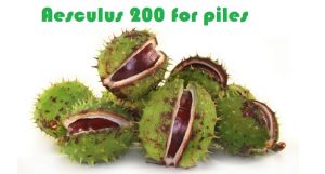 Aesculus-200-for-Piles