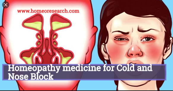 homeopathy medicine for cold and nose block
